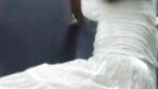 دو سفید کوڑے دان کتی ...