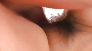 بوسومی برونیٹ بیب کن ...